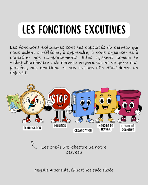 Les fonctions exécutives