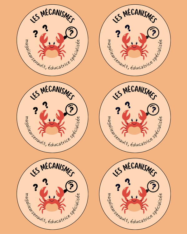 Les mécanismes