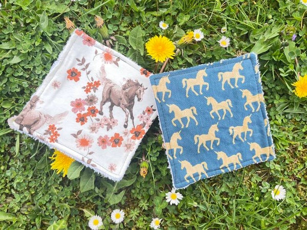 Lot de 4 lingettes pour chevaux