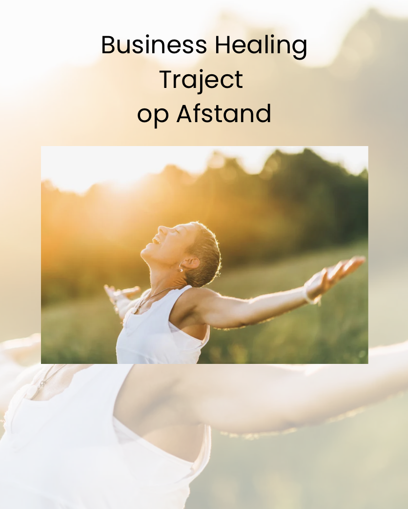 Premium Business Healing Traject