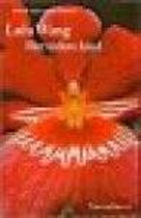 Lulu Wang; Het tedere kind