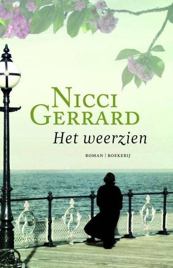 Nicci French: Het weerzien.