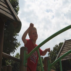 img_5924-standard.jpg