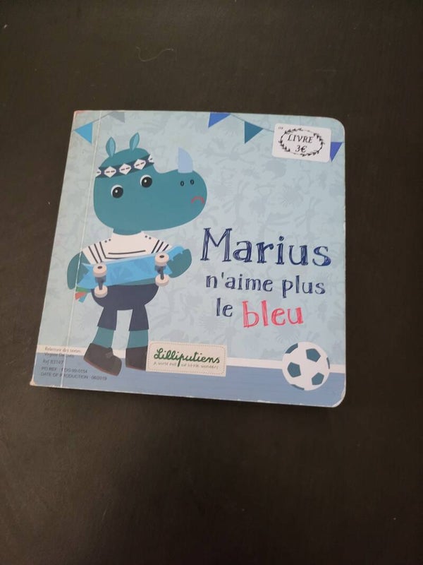 Livre réversible