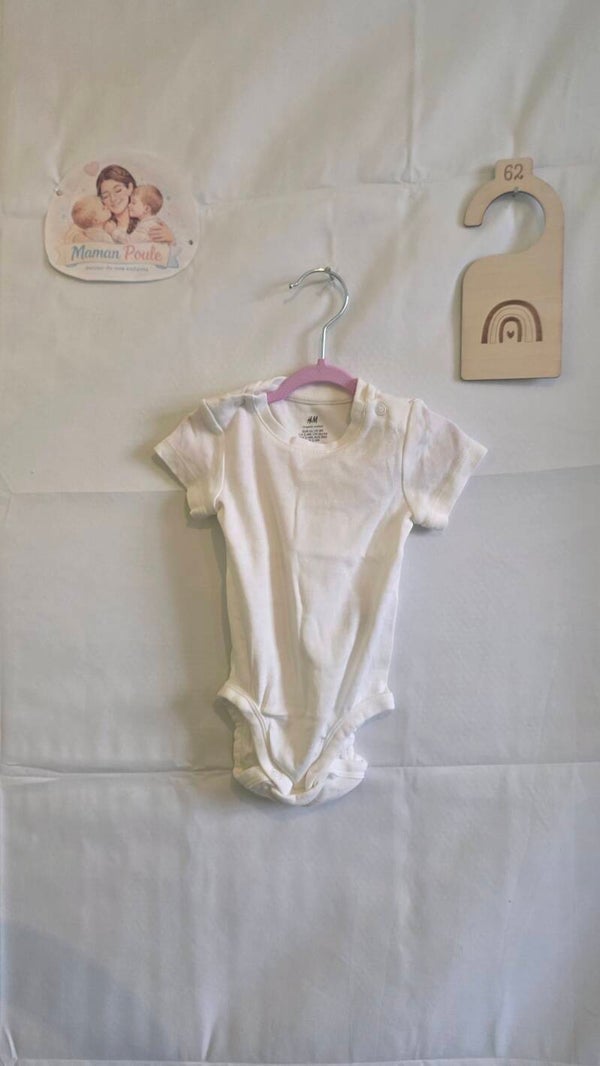 Body 62