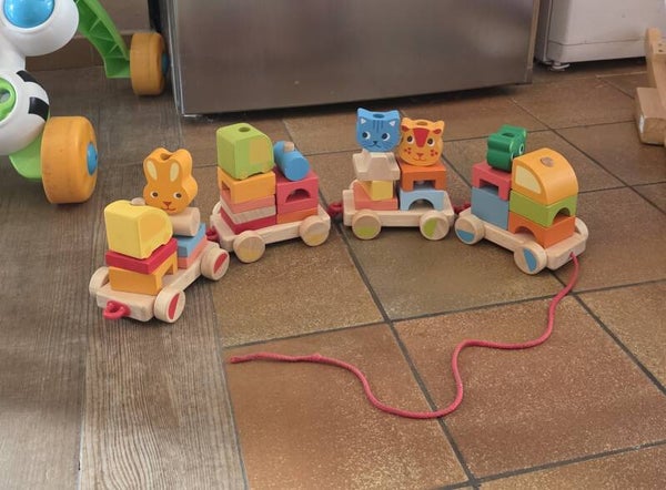 Petit train en bois