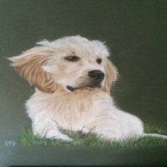 Foto3.jpg