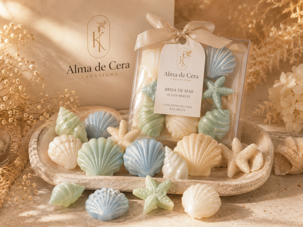 Conchitas Wax Melts – Brisa de Mar | Seashell Wax Melts – Ocean Breeze