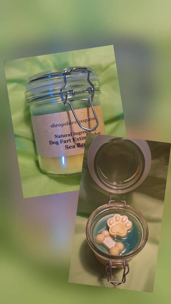 Dog Fart Extinguisher Candle