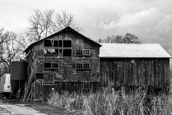 Old Farm