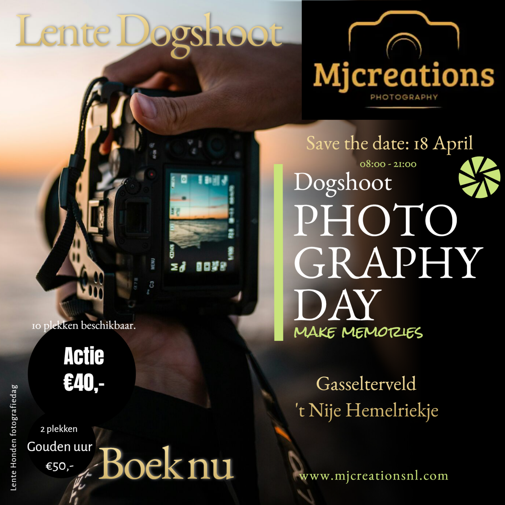 Lente Dogshoot - Hondenfotografie  - Hondenfotograaf Drenthe 