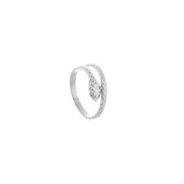 ring slang zilver