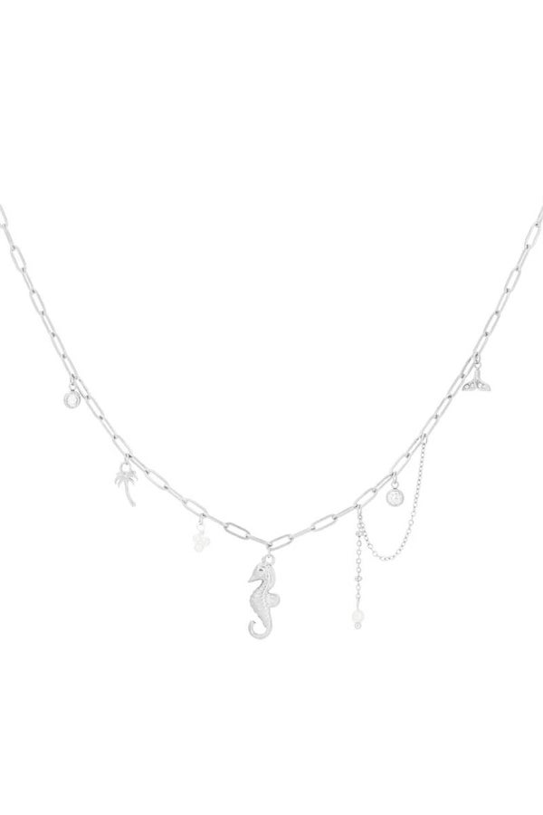 Bedelketting underwater zilver