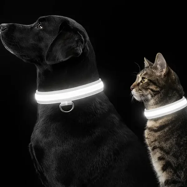 Witte LED Halsband voor Honden & Katten