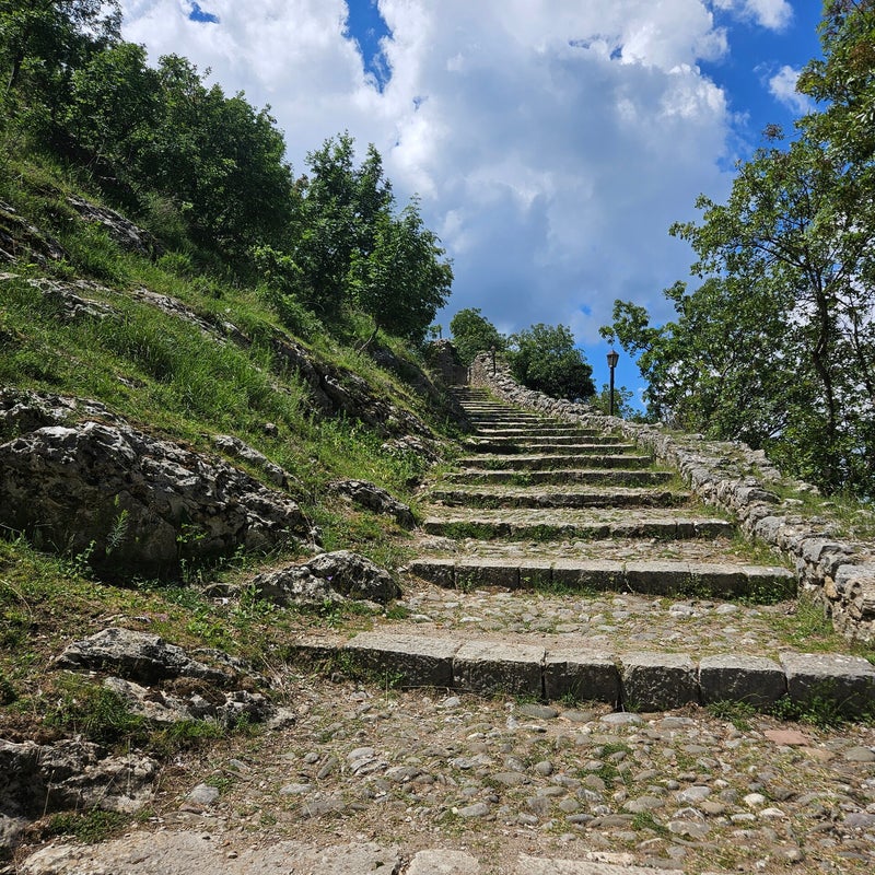20240506_124626-kopie-standard.jpg