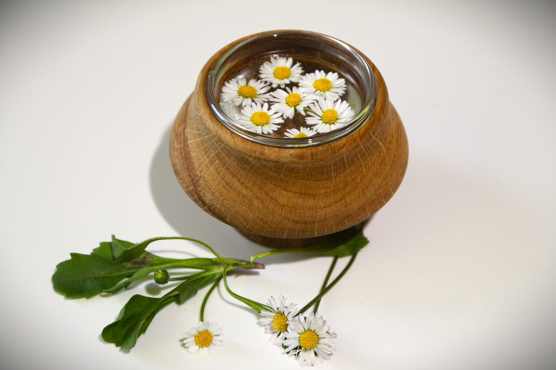 25041 Drijfbloemenhouder