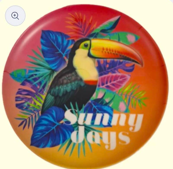 Assiette Coloris Animaux x 5 pièces assortit