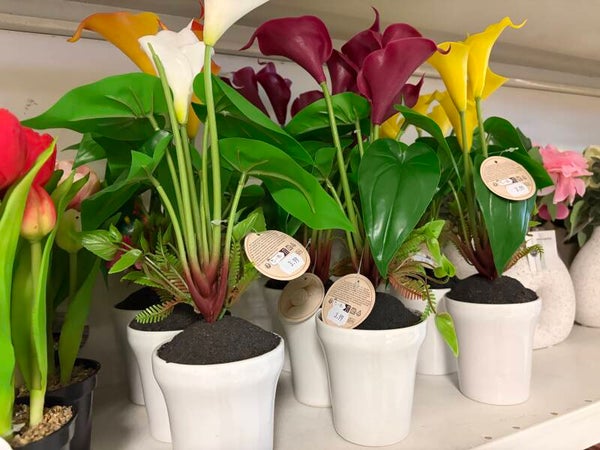 Grande fleurs avec pot blanc (Home déco)