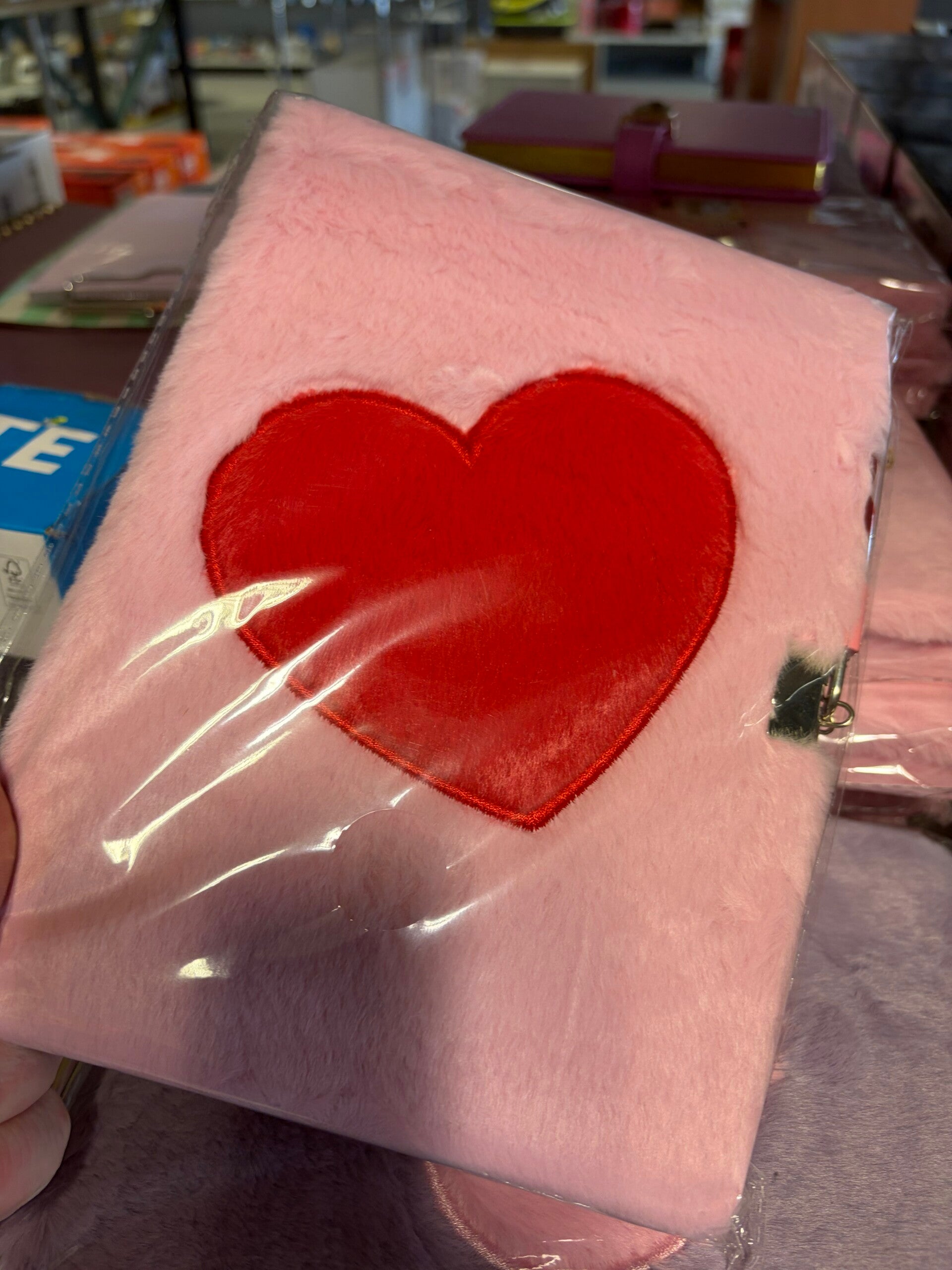 Agenda secret avec clés (Plusieurs couleurs au chois)