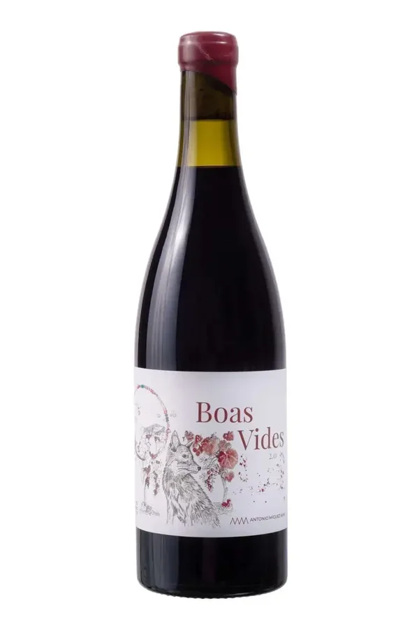 Vino Tinto Boas Vides Barrica Carabuñeira - Caiño Longo - Espadeiro - Brancellao 750ml (Antonio Miguez Amil) - Ribeiro