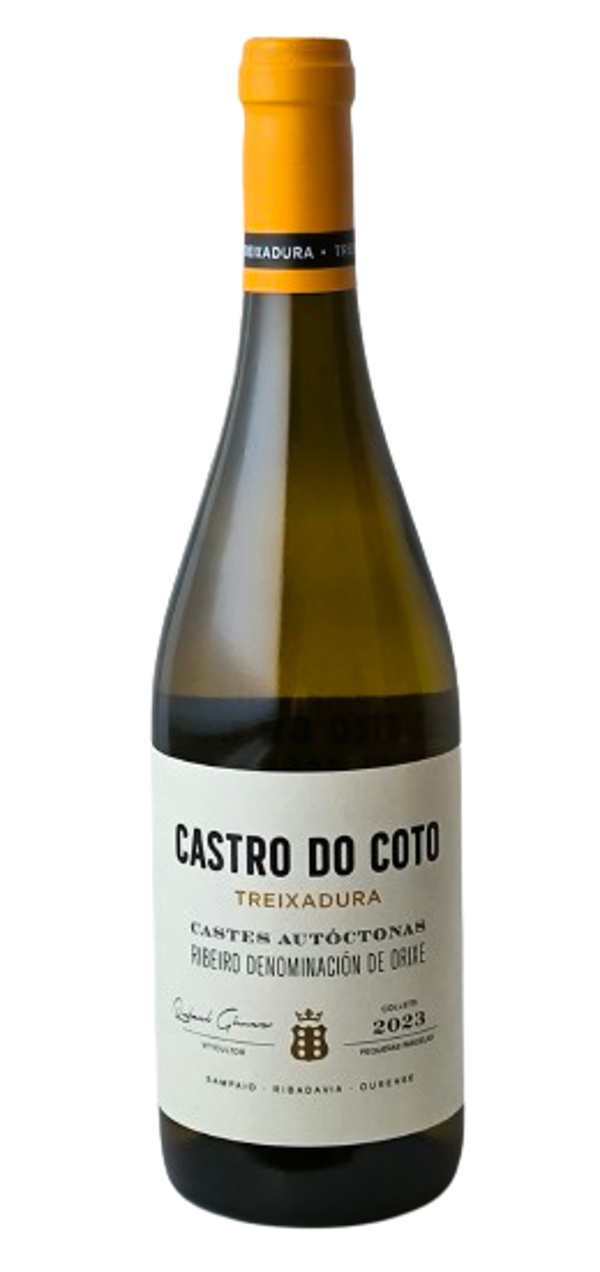 Vino Blanco Castro do Coto Treixadura 750ml (Bodega Castro Rei) - Ribeiro