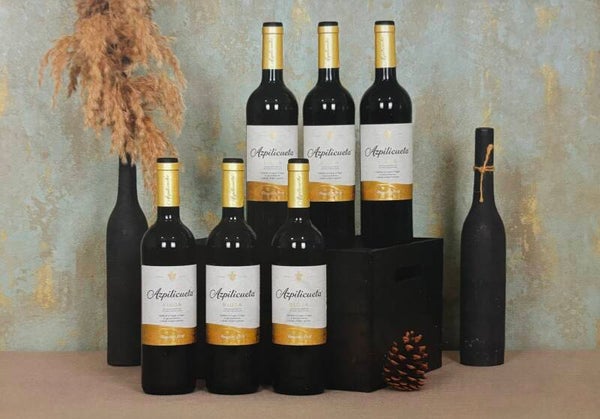 UD 11: Caja de Madera con 6 Botellas de Apilicueta Reserva 750ml - Rioja