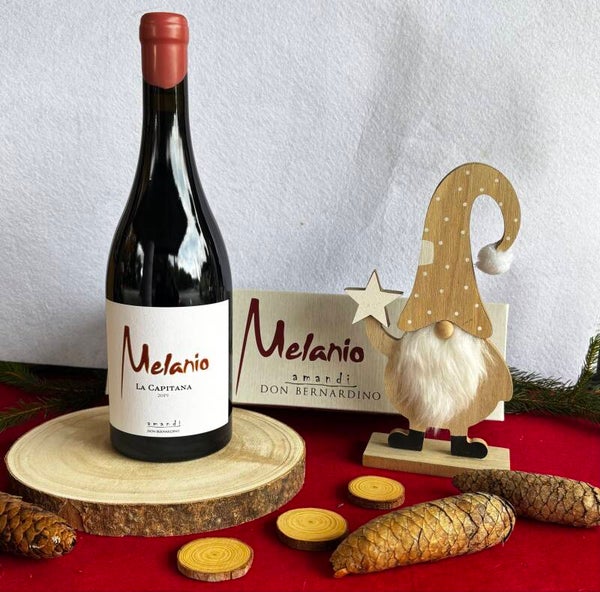 Vino Tinto Melanio Barrica Tempranillo - Graciano 750ml (Don Bernardino) - Ribeira Sacra