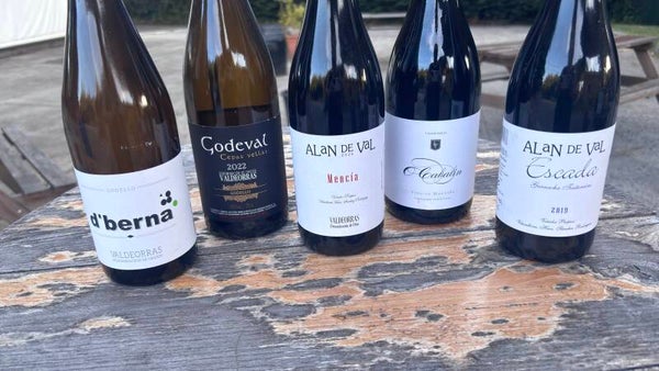11 DE AGOSTO - Valdeorras (Precio por persona)