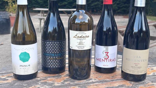 17 DE AGOSTO - Monterrei (Precio por persona)