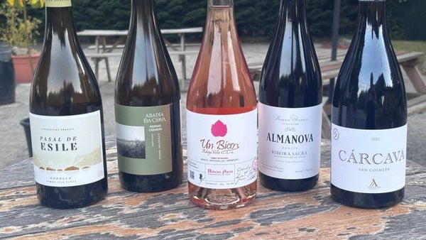 23 DE AGOSTO - Ribeira Sacra (Precio por persona)