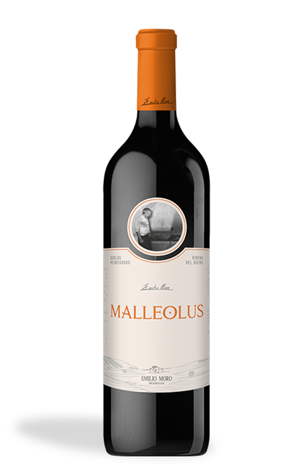 Vino Tinto Malleolus Tempranillo 750ml (Emilio Toro) - Ribera de Duero