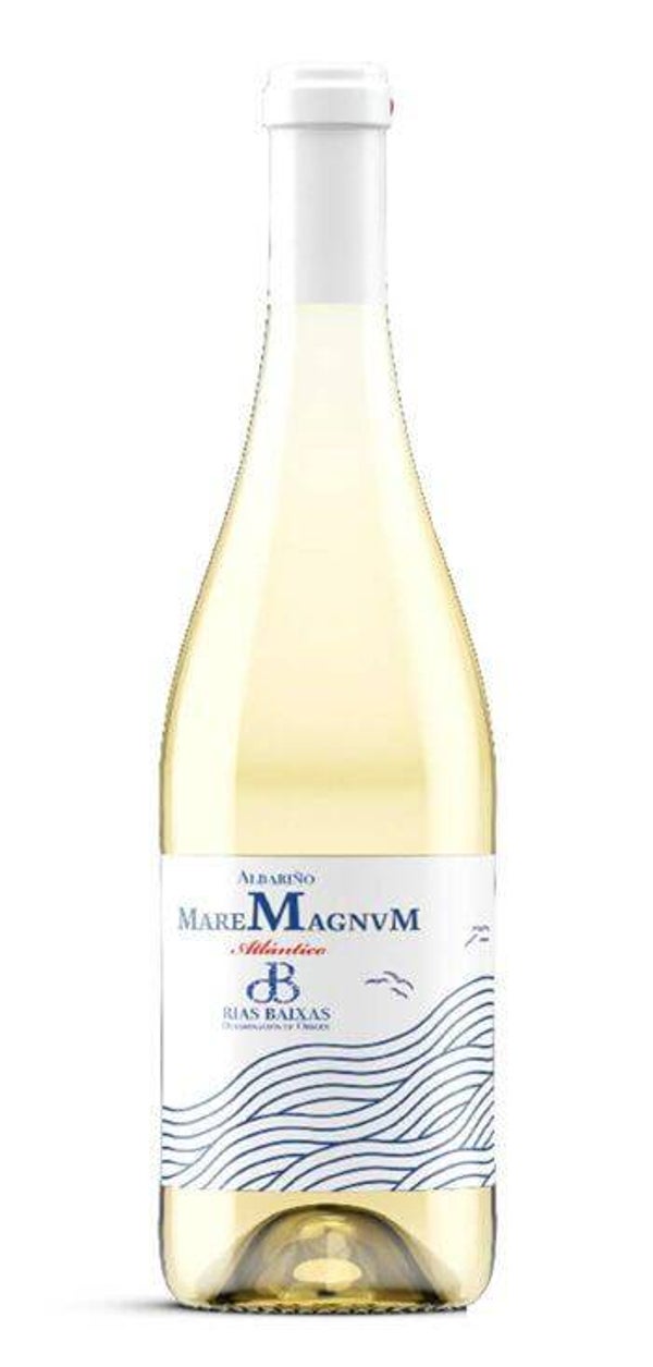 Vino Blanco Maremagnvm Albariño 750ml (Don Bernardino) - Rias Baixas