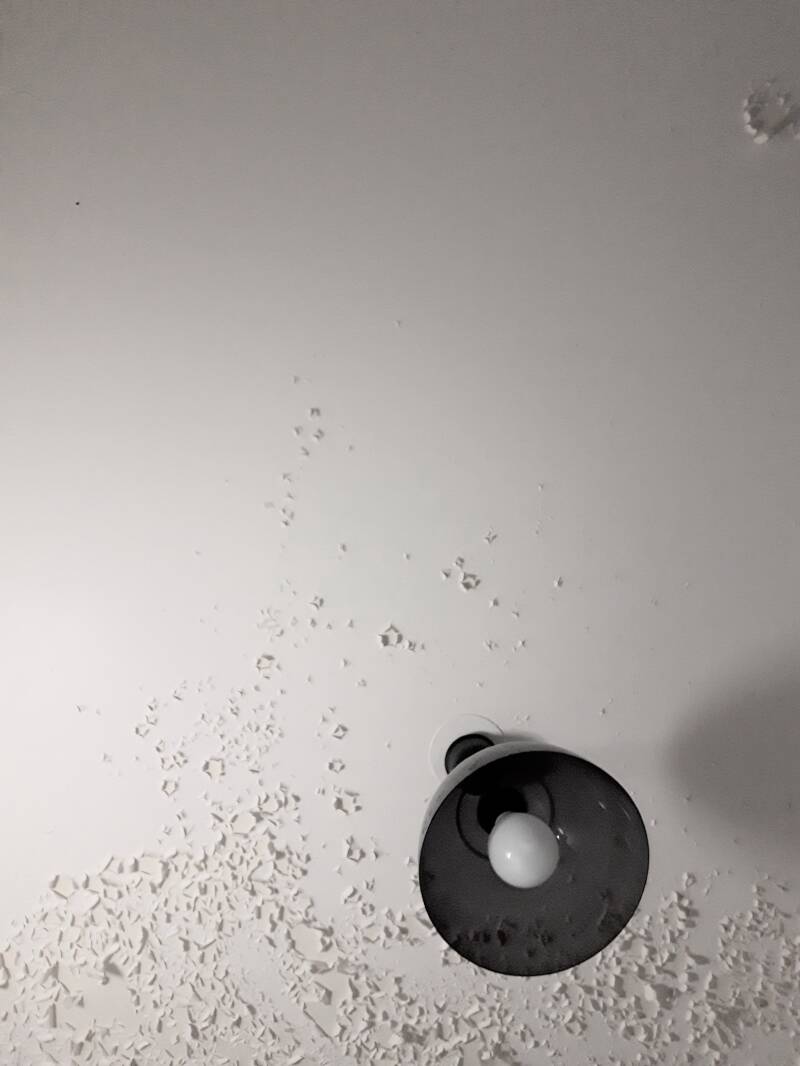 20180923_093117-standard.jpg