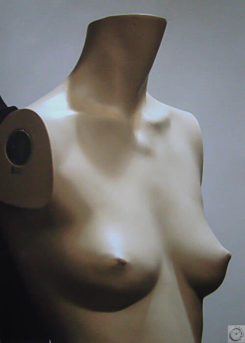 buste-standard.jpg