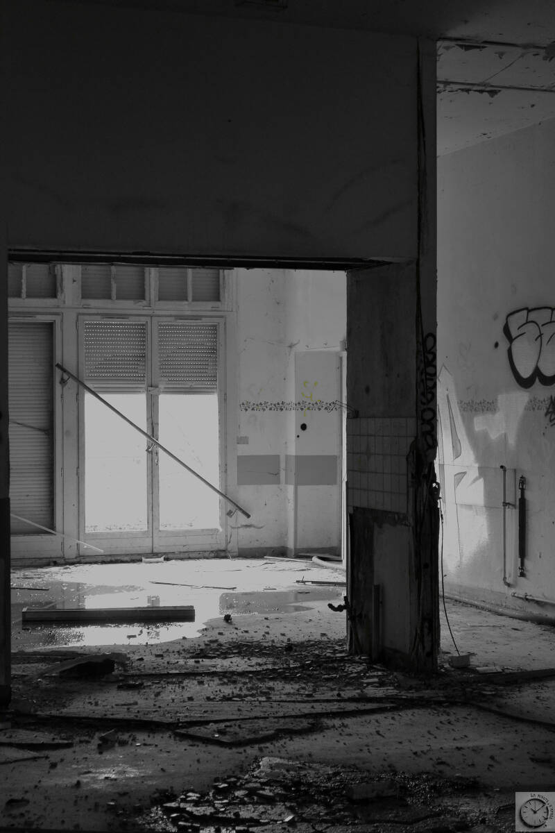 dsc_0254-standard.jpg