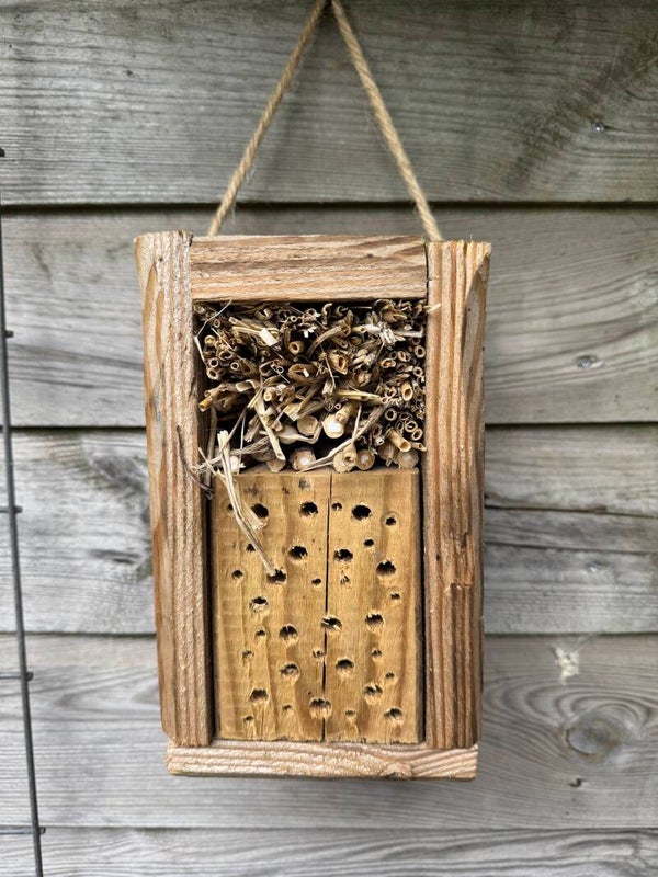 Insectenhotel