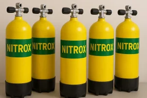 Nitrox Diver Kurs anline buchen, Nitrox Kurs Mannheim, Nitrox Diver Kurs Heidelberg, Nitrox Diver Kurs Speyer, Nitrox Diver Kurs Vierneheim,