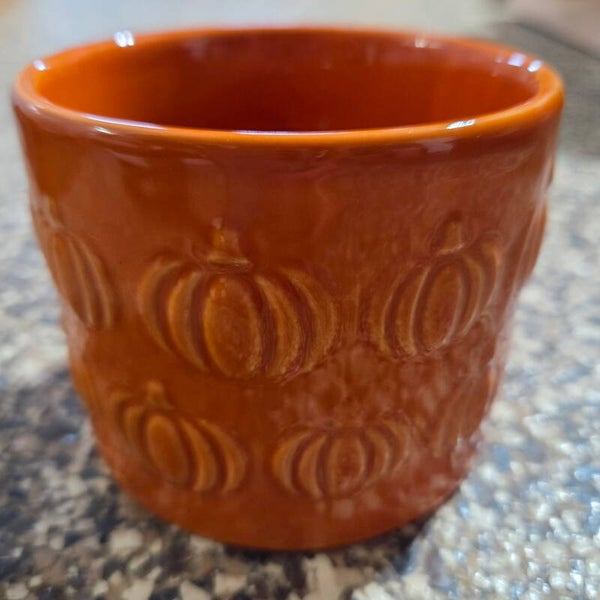 Pumpkin container 🧡