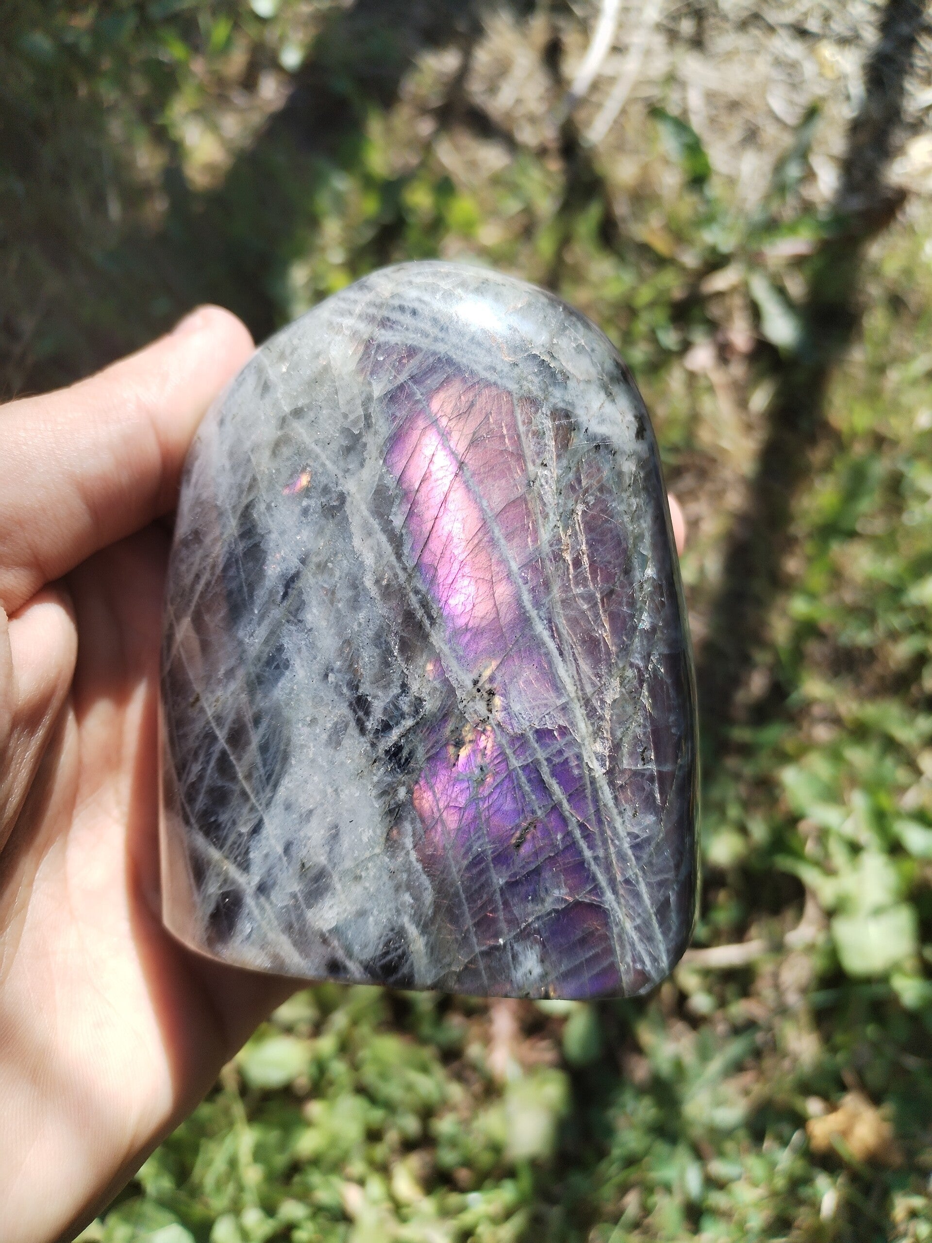 Labradorite Violette 521g