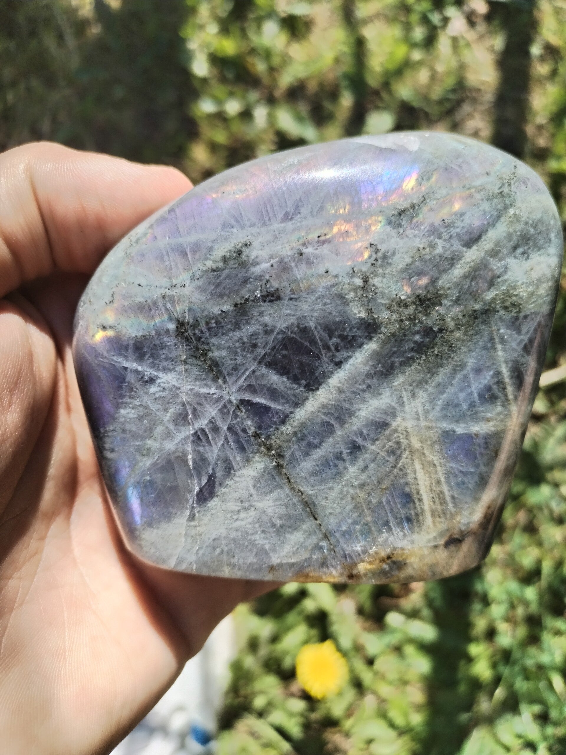 Labradorite aux Reflets Pastel – 428g