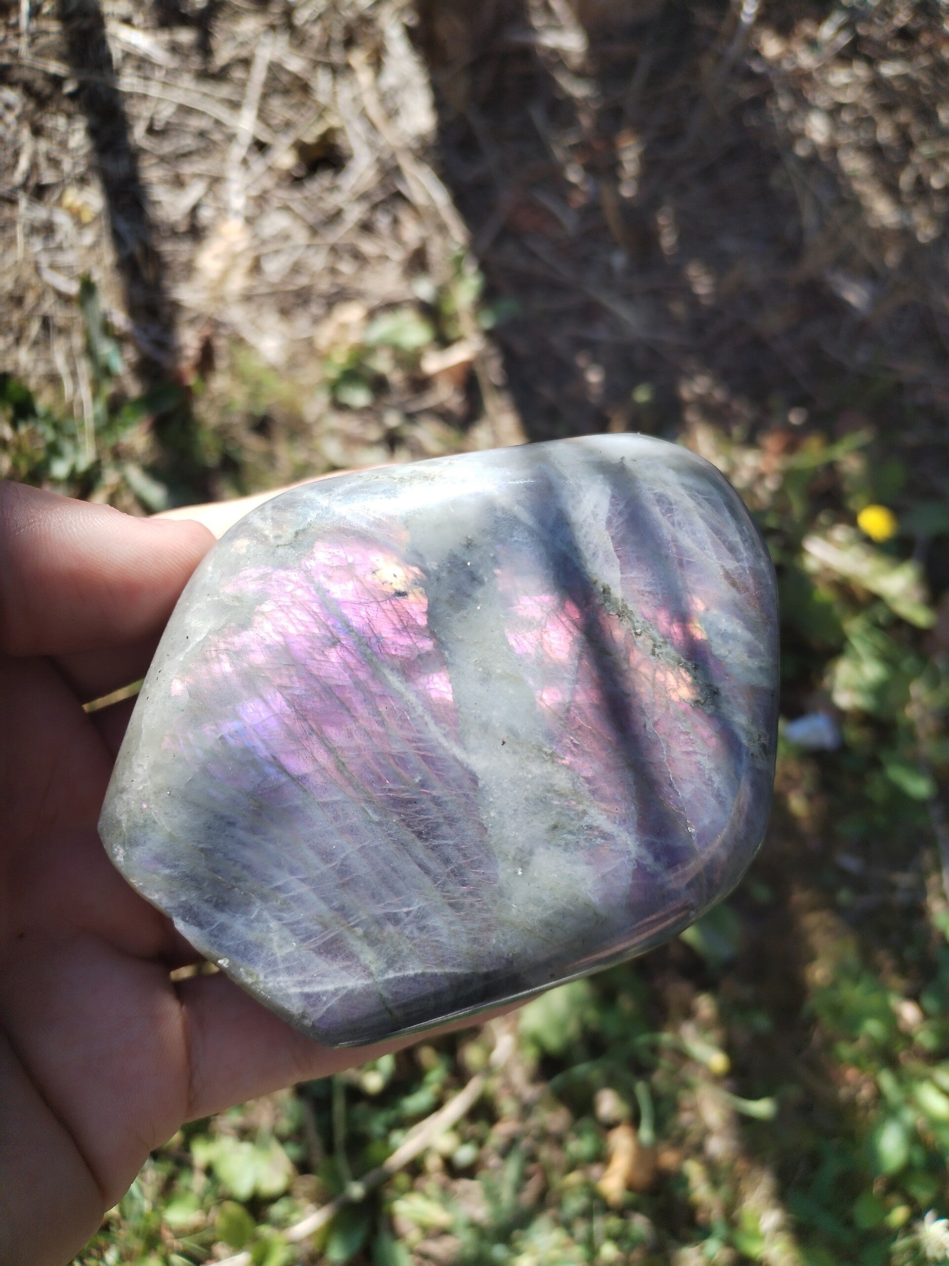 Labradorite Rose-Violette – 361g