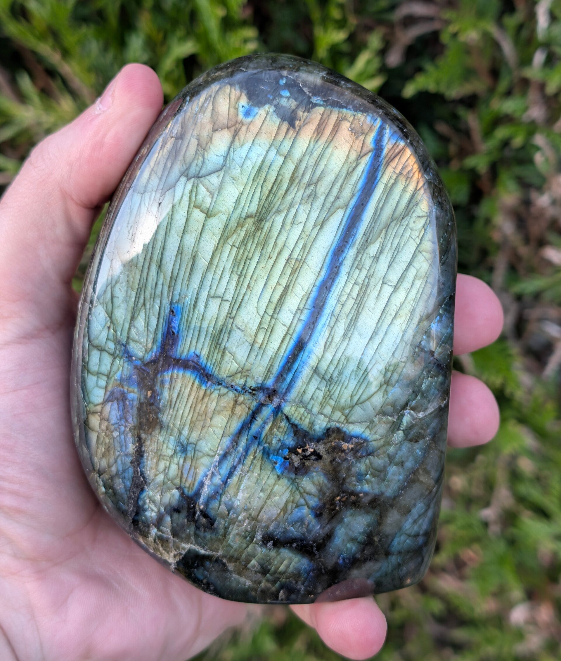 Forme libre de Labradorite de Madagascar - Reflets Bleus et Or (1,057 kg)