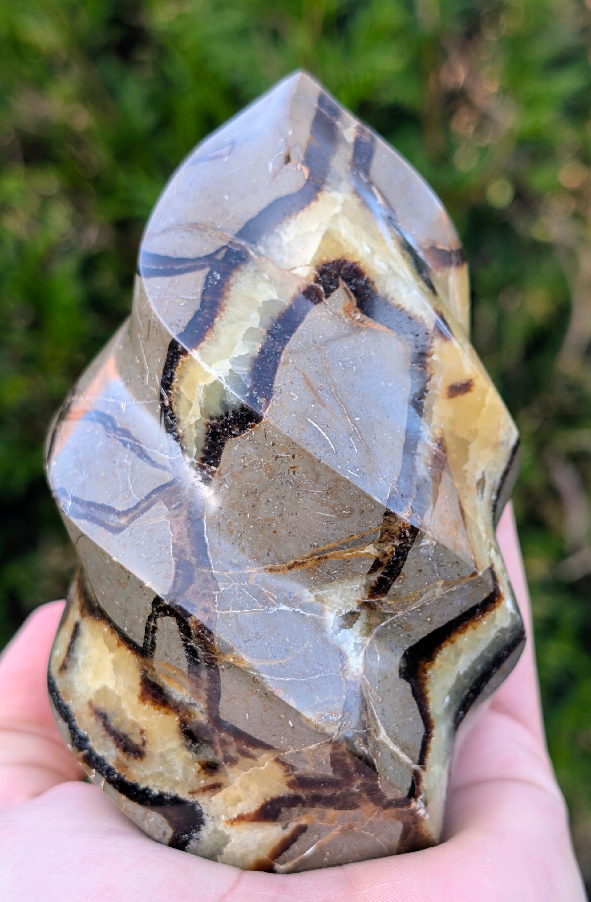 Flamme en Septaria Sauvage - Pierre de Dragon de Madagascar (835 g)