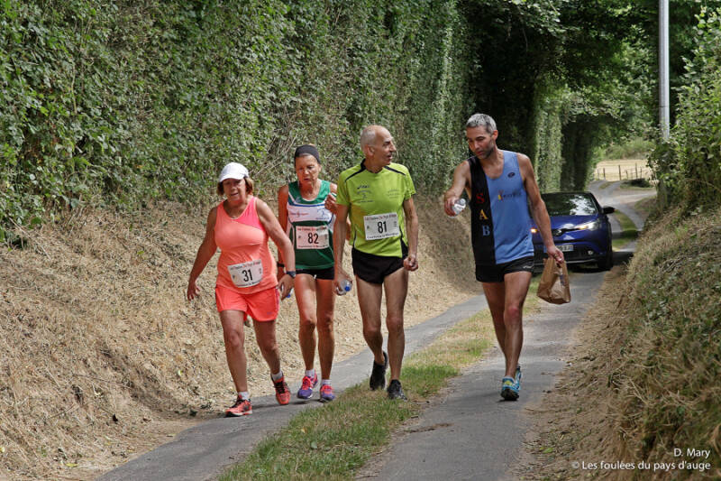 10km_31_81_82_dm-100-standard.jpg