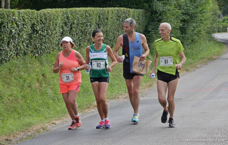 10km_31_81_82_dm-101-standard.jpg