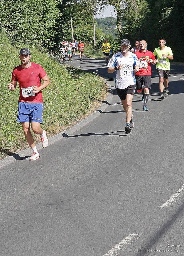 10km_77_135_dm-16-standard.jpg