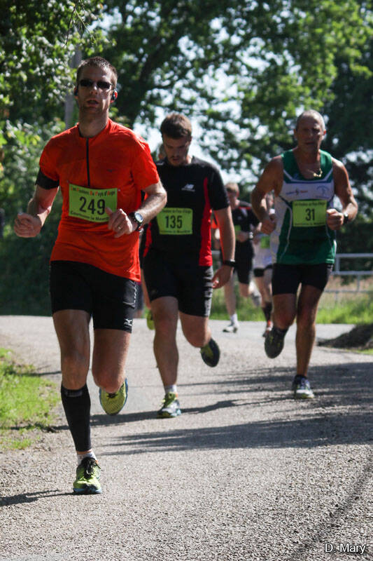 10kms_249_135_31_d-m-37-standard.jpg