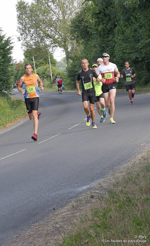 5km_510_531_571_dm-1-standard.jpg