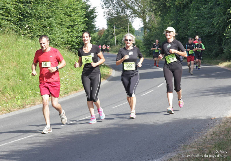 5km_511_512_526_566_dm-15-standard.jpg