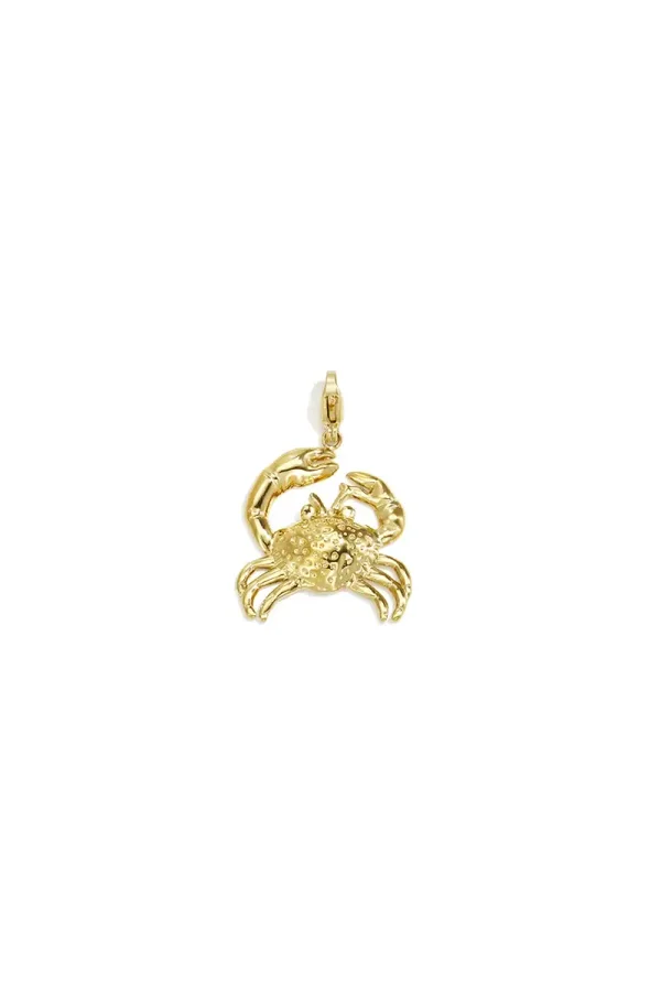 🦀 Goudkleurige Krab Bedel